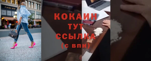 эйфоретик Болотное