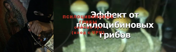 круглые Болохово